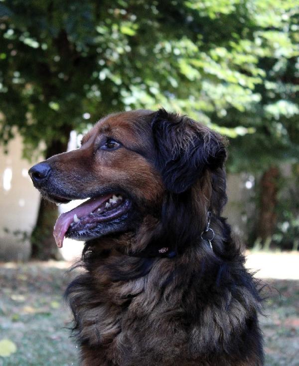JOHN BELLISSIMO IN CERCA DI CASA Foto 7